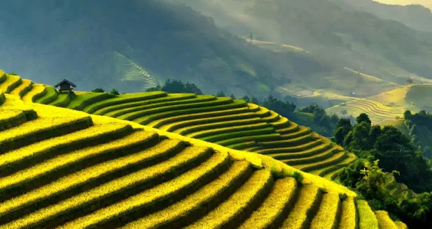 We grow fresh, organic produce using clean methods that protect nature, healthy food.